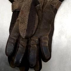 Handschoenen Bruin, zoals gemeld door Arriva Friesland / Groningen met iLost