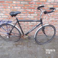 Bicicleta , Oxford, grijs, ossekopstuur, ha sido reportado por Fietsdepot Leopoldsburg con iLost
