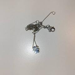 Náhrdelník, ako bolo nahlásené Ziekenhuis Oost-Limburg pomocou iLost