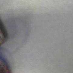 Claus, segons ha informat Walibi Holland mitjançant iLost