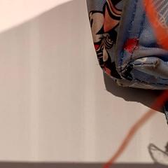 Motxilla, segons ha informat De Efteling mitjançant iLost