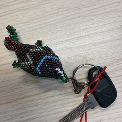 Kľúč, ako bolo nahlásené Gemeente Arnhem pomocou iLost