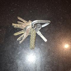 Sleutelbos, jak bylo nahlášeno na iLost