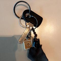 المفاتيح (متنوعة)، كما تم الإبلاغ عنه بواسطة LUMC عبر iLost