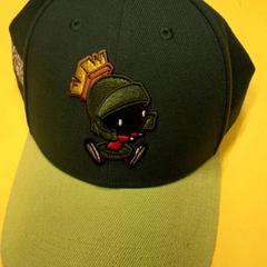 İLost kullanarak IKEA Delft tarafından bildirildiği gibi Pet Groen