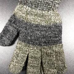 Hansker Groen schakering, som rapportert av Arriva Vechtdallijnen ved bruk av iLost