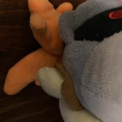Peluche Grijs,oranje, come riportato da Attractie- & Vakantiepark Slagharen utilizzando iLost