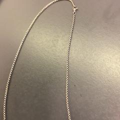Halsband, rapporterat av Eindhoven Airport med iLost