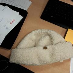 Gorro Wit, segundo informou Arriva Vechtdallijnen usando iLost