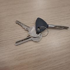 Sleutels, gerapporteerd met iLost