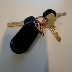 Schlüsselanhänger, gemeldet von Connexxion Zeeuws-Vlaanderen über iLost