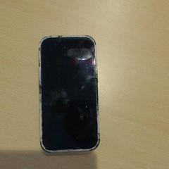 Smartphone grijs iPhone, a été signalé par Walibi Holland utilisant iLost