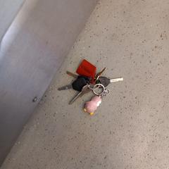 Sleutelbos met roze pinguin en rode keycard, come riportato a iLost