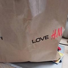 Borsa Bruin, come riportato da Qbuzz Fryslân utilizzando iLost