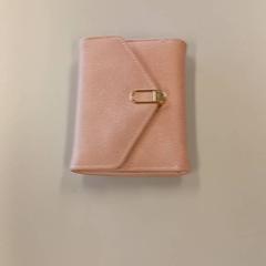 Wallet, as reported by Regio Antwerpen - Brussel using iLost