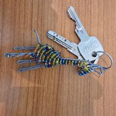 sleutels met giraf / giraffe sleutelhanger, iLost에 보고됨