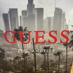 Purchase guess, zoals gemeld door Designer Outlet Roermond met iLost