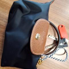Llaves & Bolsa, ha sido reportado por Qbuzz DMG con iLost