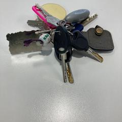 İLost kullanarak Gemeente Ede tarafından bildirildiği gibi Sleutel & Sleutelbos Div hangertjes