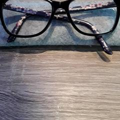 안경, iLost를 사용하여 EBS Tramplein에 보고됨