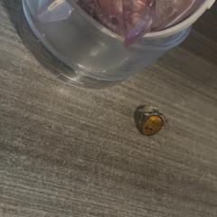 Gyűrű, amint azt Van der Valk Hotel Haarlem az iLost segítségével jelentette.