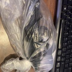 Rördelar Zwarte steltang, rapporterat av Haven Hotel Rotterdam med iLost