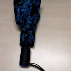 Paraplu para, zoals gemeld door Arriva Oost-Brabant met iLost