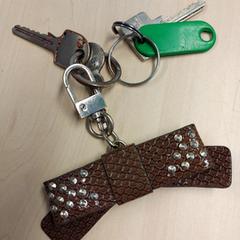 Sleutelbos, ako bolo nahlásené iLost