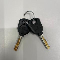 İLost kullanarak Heidelberglaan 15 tarafından bildirildiği gibi Bisiklet anahtarları 2x