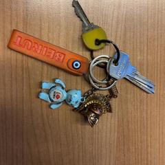 Nøkkelring, som rapportert av Pathé Spuimarkt ved bruk av iLost