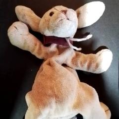 Knuffel, a été signalé par Apenheul utilisant iLost