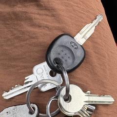 Sleutelbos، كما تم الإبلاغ عنه عبر iLost