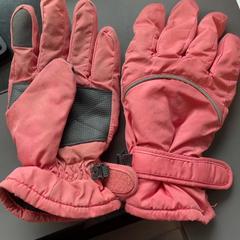 Handskar Roze, rapporterat av Burgers' Zoo med iLost