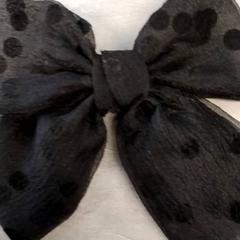 뜨다 Zwart, iLost를 사용하여 Arriva Friesland / Groningen에 보고됨