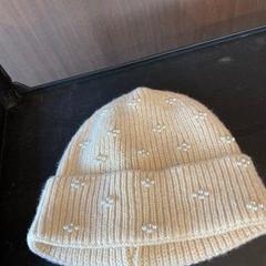 Beanie, jak nahlášeno Regio West-Vlaanderen pomocí iLost