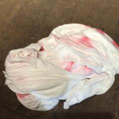 Šátek Wit roze, jak nahlášeno De Heeren van Aemstel pomocí iLost