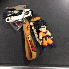 Nyckelring, rapporterat av Breng Nijmegen med iLost