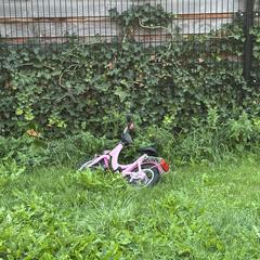 Roze fietsje, som rapporterats till iLost