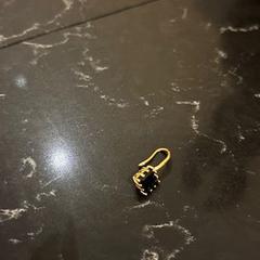 보석류, iLost를 사용하여 Van der Valk Hotel Veenendaal에 보고됨