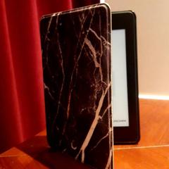 Kindle, as reported by Grand Hotel Amrath Kurhaus using iLost