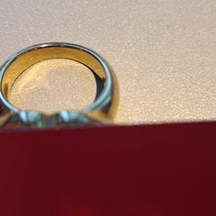 Anel, como reportado por Madurodam utilizando o iLost