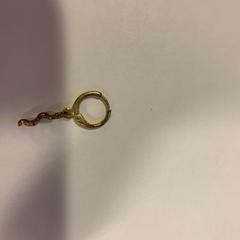 Piercing, as reported by Gemeente Hilversum using iLost