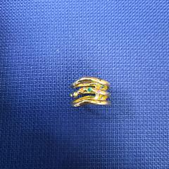 Ring, gemeldet von UvA REC über iLost