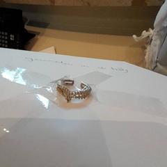 Anillo Goud, ha sido reportado por Van der Valk Hotel Schiphol con iLost