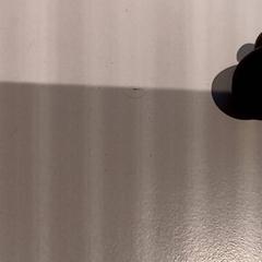 Oortje, rapporterat av De Efteling med iLost