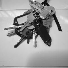 Sleutelbos, amint azt az iLostnak jelentették.