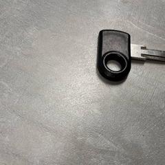 Clé Zilver, a été signalé par Arriva Friesland / Groningen utilisant iLost