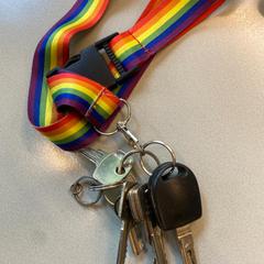 Sleutelbos, gemeldet von Gemeente Hilversum über iLost