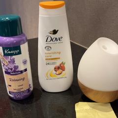 شامبو، كما تم الإبلاغ عنه بواسطة Van der Valk Hotel Utrecht عبر iLost