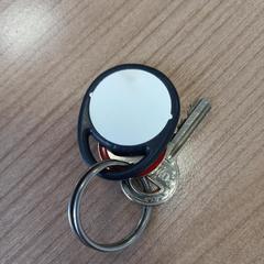 Sleutels, como reportado por Arriva West-Brabant utilizando o iLost